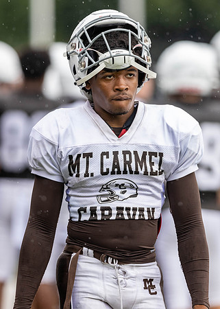 Brown-White Day_2022-758_13915100