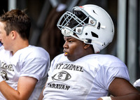Brown-White Day_2022-392_10183572