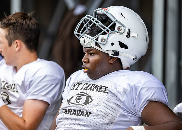 Brown-White Day_2022-392_10183572