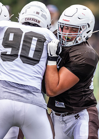 Brown-White Day_2022-594_12273867