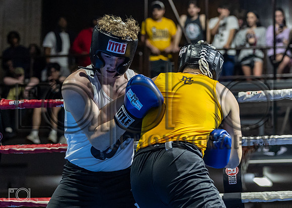 MC Fight Night 24-17242-2042-517600