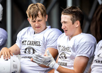 Brown-White Day_2022-393_10193819