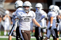 Brown-White Day_2022-342_09680783