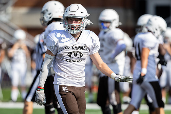 Brown-White Day_2022-342_09680783