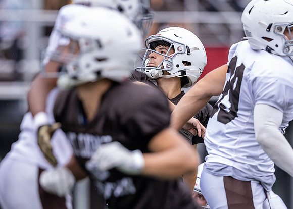 Brown-White Day_2022-673_13065550