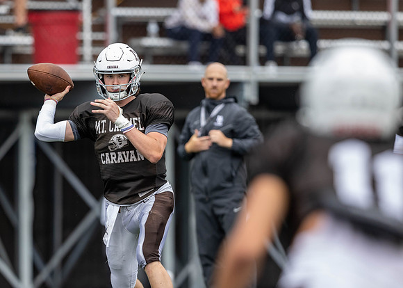 Brown-White Day_2022-641_12745600