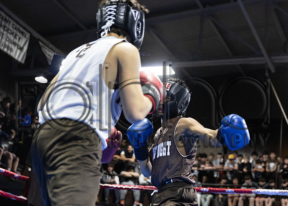 MC Fight Night