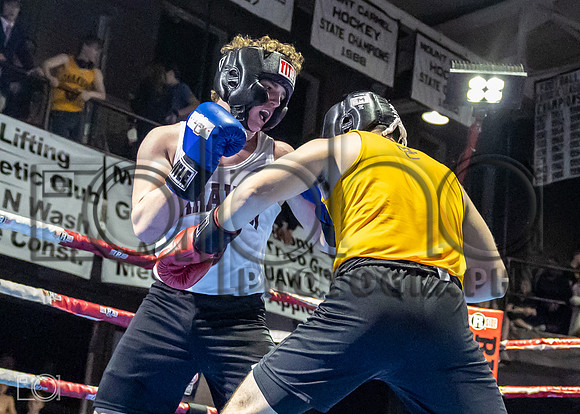 MC Fight Night 24-17563-4149-033600