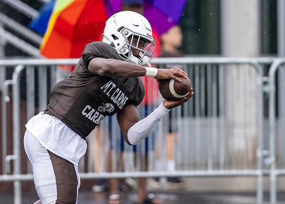 Brown-White Day_2022-539_11725458