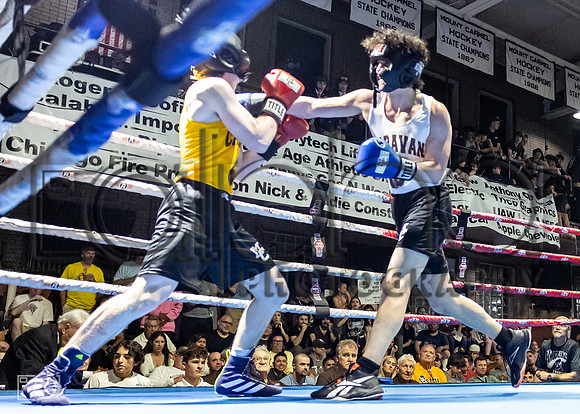 MC Fight Night 24-17115-3815-252100