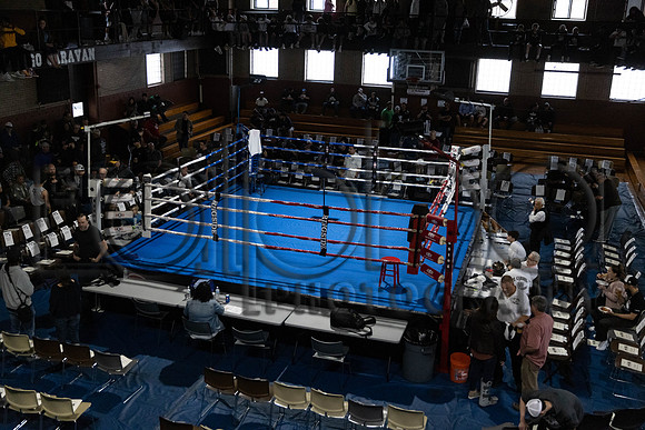 MC Fight Night