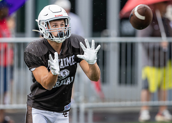 Brown-White Day_2022-542_11751399