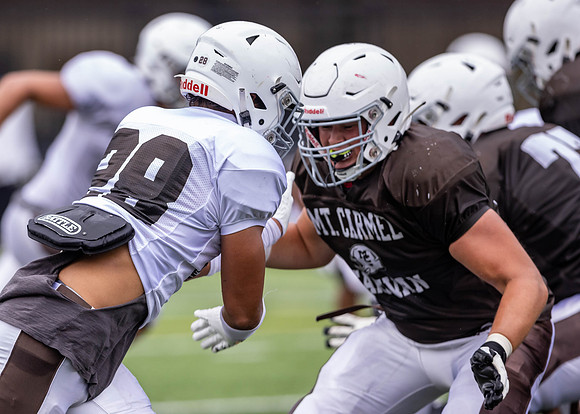 Brown-White Day_2022-653_12863501