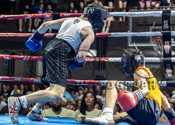 MC Fight Night 24-16512-1912-062600