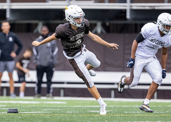 Brown-White Day_2022-687_13203002