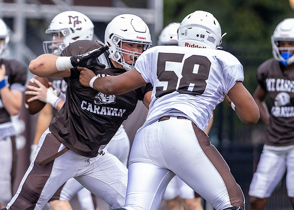 Brown-White Day_2022-635_12682917