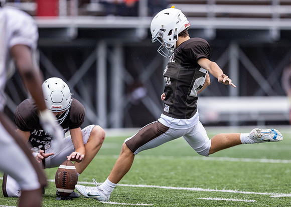 Brown-White Day_2022-664_12975453