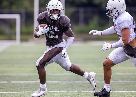 Brown-White Day_2022-575_12085436