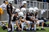 Brown-White Day_2022-373_09991745