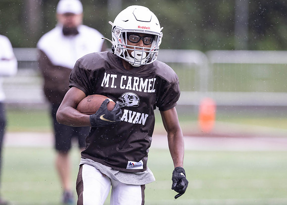 Brown-White Day_2022-746_13793403