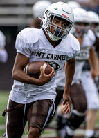 Brown-White Day_2022-381_10072872