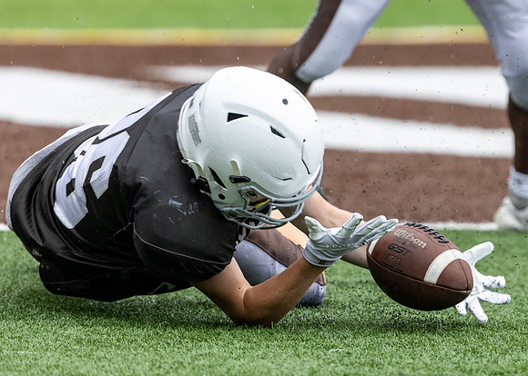 Brown-White Day_2022-769_14025249