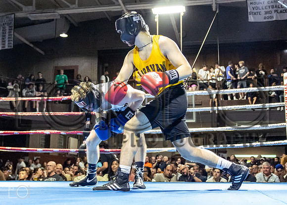 MC Fight Night 24-17310-3939-231900