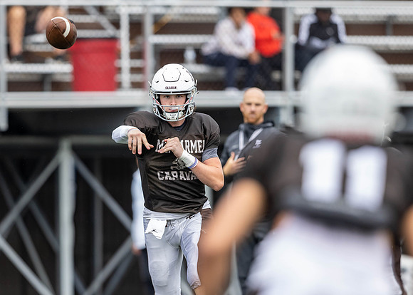 Brown-White Day_2022-642_12755615