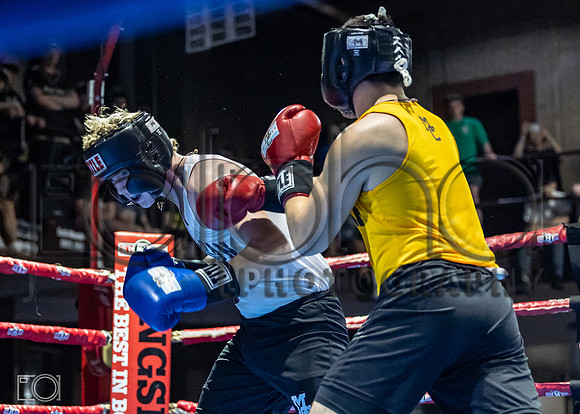 MC Fight Night 24-17222-2022-316500