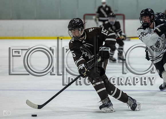 MC_Hockey_Fenwick-60983523-250