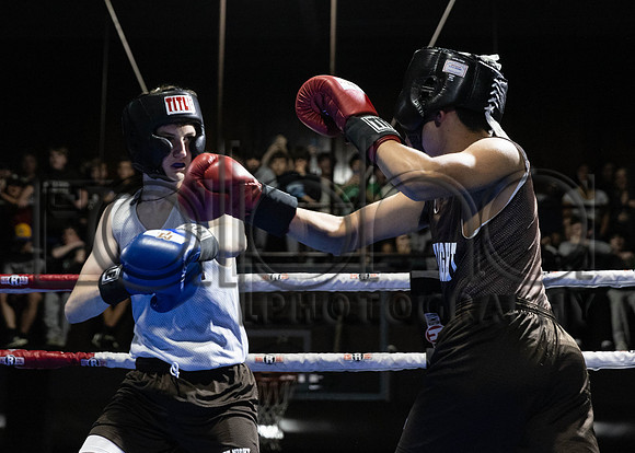 MC Fight Night