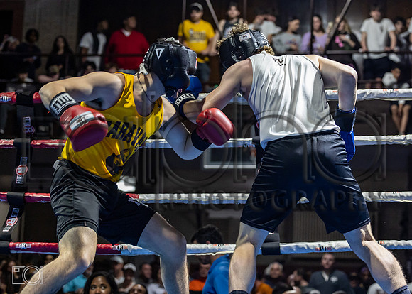 MC Fight Night 24-17250-2050-588900