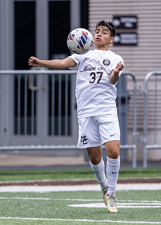 Brown-White Day_2022-505_11381540