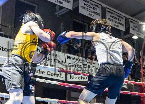 MC Fight Night 24-17113-3813-248100