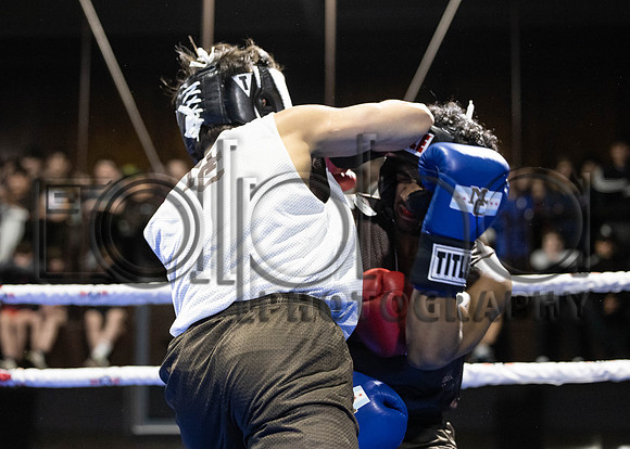 MC Fight Night