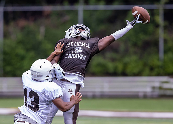 Brown-White Day_2022-598_12310141