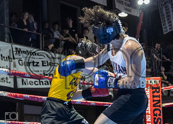 MC Fight Night 24-16988-3739-513400