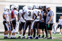 Brown-White Day_2022-354_09804700
