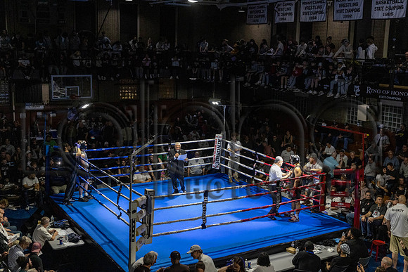 MC Fight Night