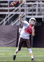 Brown-White Day_2022-374_10004417
