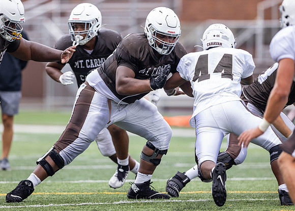Brown-White Day_2022-581_12141896
