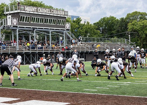 Brown-White Day_2022-1212_24254766